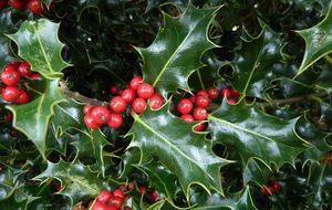 Vacances de fin d'année