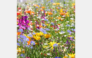 Vacances de printemps